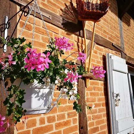 Domaine De Mepillat